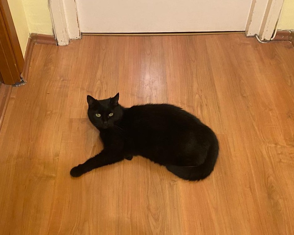 Imagine suplimentară